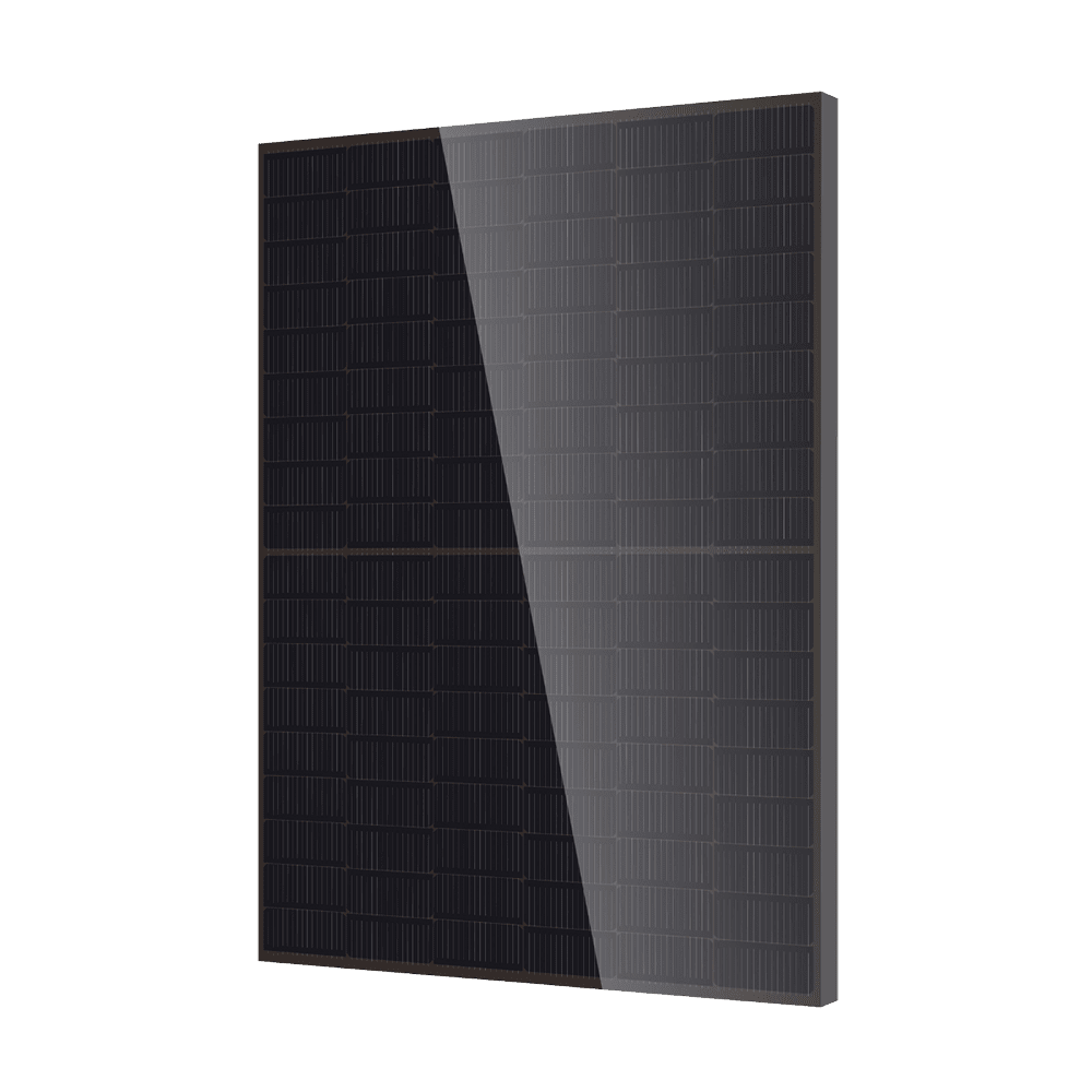 Saulės modulis DMEGC DM450M10RT-B54HBB Bifacial Full Black